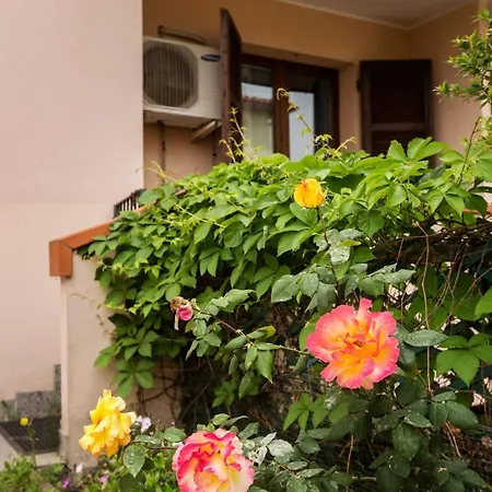 Apartment Vacanza Aiosardegna *