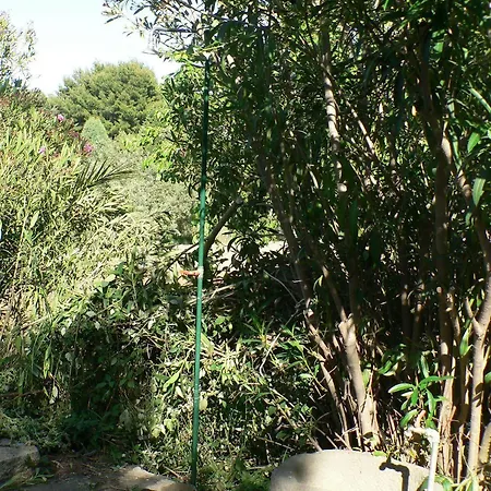 Aiosardegna פולה